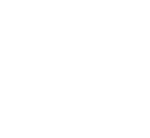 Remax Alamo